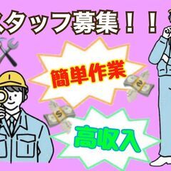 【製造スタッフ募集中】小さな電球から、大きな未来を照らす。💡🌍